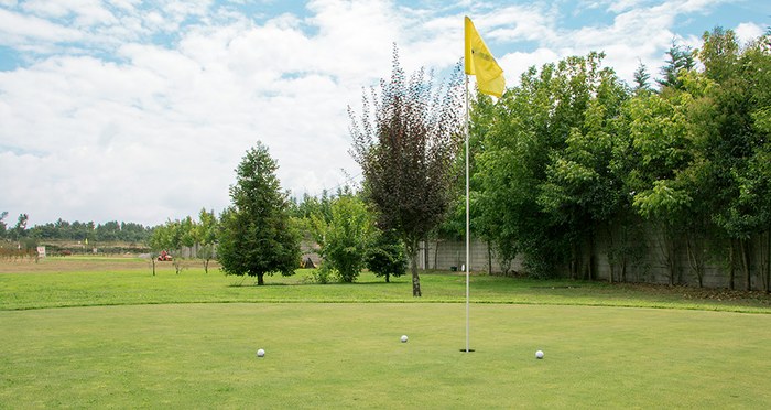 Campo Pitch&Putt Certificado pela Federação Portuguesa de Golfe 