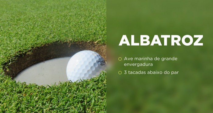 Golfe – afinal já conhece